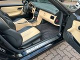 Mercedes-Benz SLK 230 ROADSTER*BRABUS*LEDER*SHZ*XENON*KLIMA - Mercedes-Benz: Slk Brabus