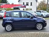 Fiat Panda 1,2 8V Easy - Fiat Panda: Blau