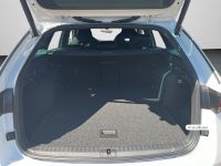 Skoda Octavia - Vorschau Bild 17