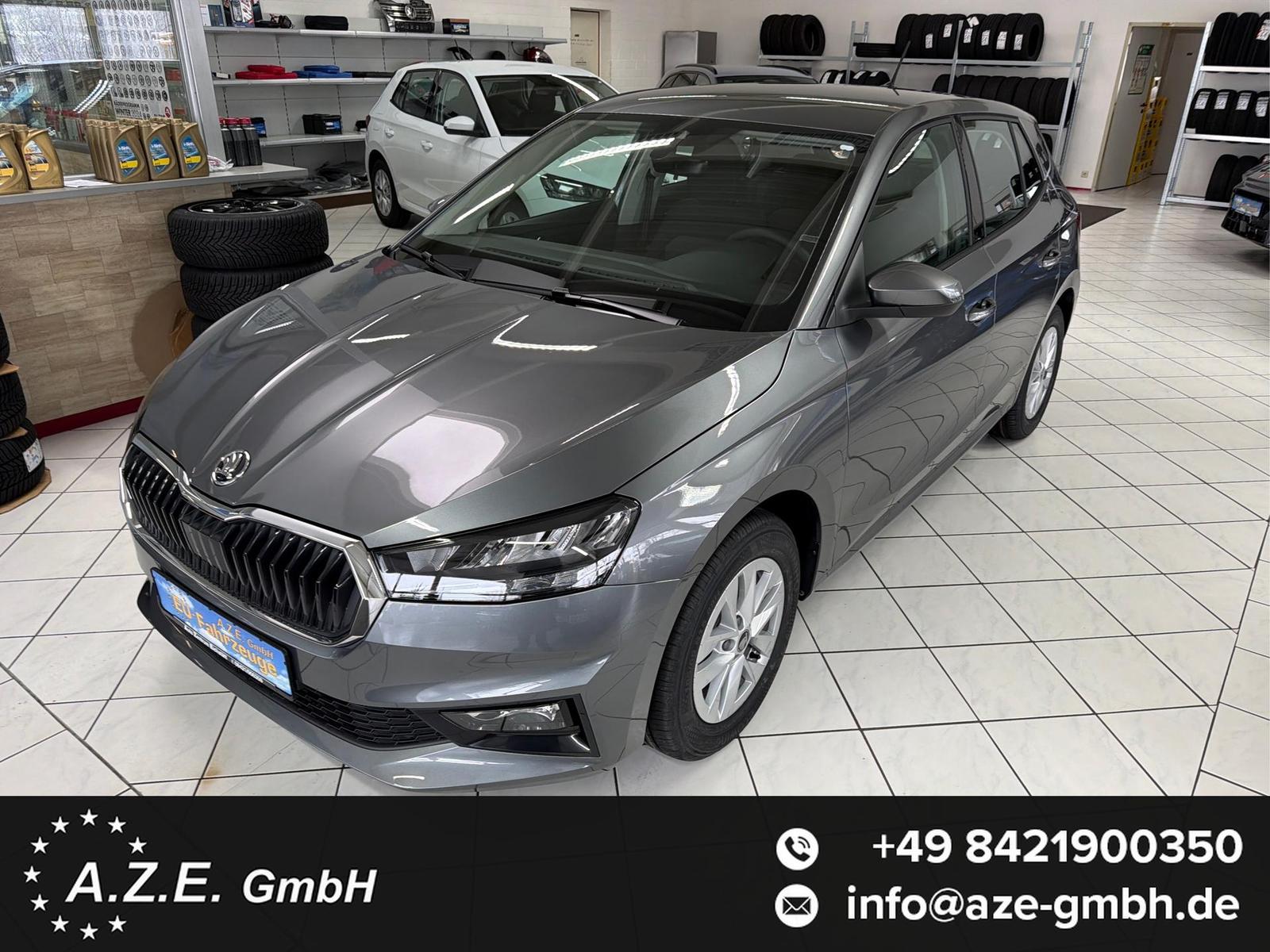 Skoda Fabia 1.0 MPI 130 Jahre *PDC*GRA*SH*KAMERA*AP...