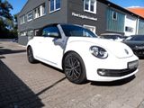 Volkswagen Beetle 1.2 TSI BMT ALLSTAR Cabriolet Navi/Kamera - VW Beetle gebraucht in Frankfurt