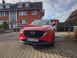 Mazda CX-5 2.5 SKYACTIV-G 194 Ad'vantage AWD AT Ad... - Mazda CX-5 in Bielefeld