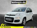 Fiat Panda 1.2 8V Easy SHZ,Winterp.,PDC - Fiat Panda: Allradantrieb