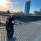 CFMOTO 300 NK - CFMOTO 300NK