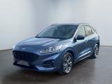 Ford Kuga ST-Line 2.0 EcoBlue ACC PDC KAM AHK LED - : Blau, Allwetterreifen
