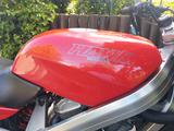 Honda Hawk NT650GT NC31 Originalzustand - HONDA HAWK