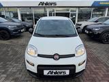 Fiat Panda +5SITZER+ALLWETTER+KLIMA+BLUETOOTH+DAB+ - Fiat Panda Gebrauchtwagen in Münster