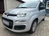 Fiat Panda New Panda Klima - Fiat New Panda Gebrauchtwagen