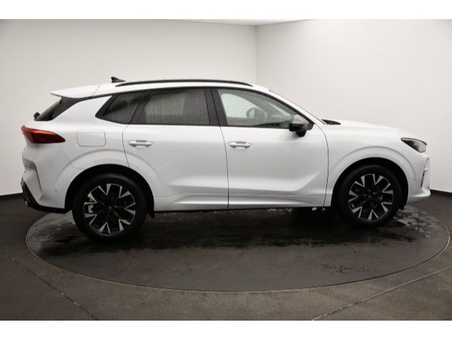 Cupra Terramar - Bild 17