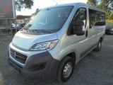 Fiat Ducato 2.3 DS Kombi 33 150 L1H1 Rollstuhlrampe - Fiat Ducato: 15