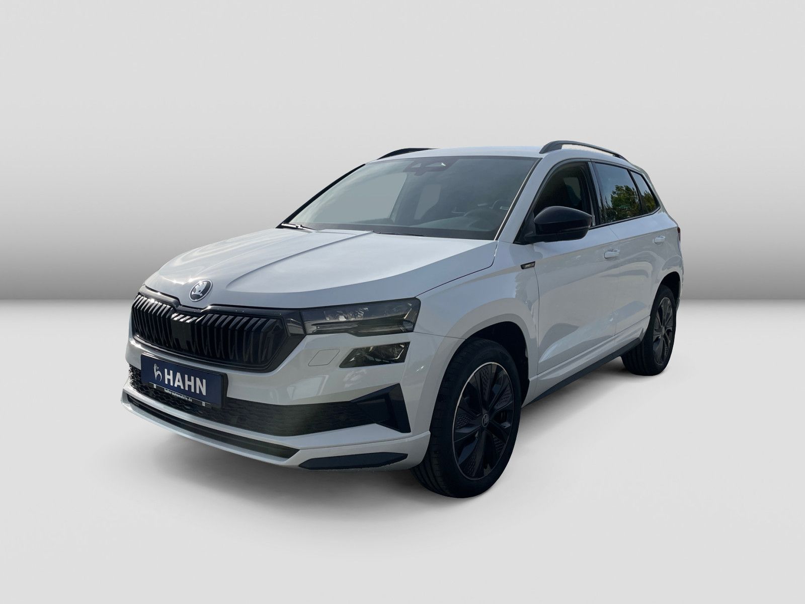 Skoda Karoq - Bild 2