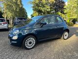 Fiat 500 1.0 Mild-Hybrid Dolcevita Carplay/Glasdach/u - Fiat 500: Glasdach