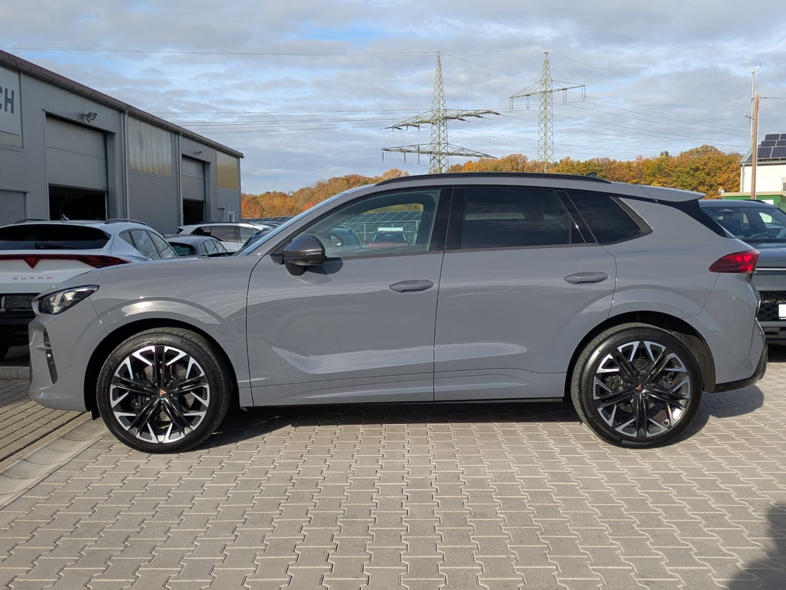 Fahrzeugabbildung CUPRA Terramar 2.0 TSI 4D VZ HUD*MATRIX*PANO*DCC*20"