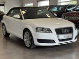 Audi A3 Cabriolet Attraction PDC/SHZ/BOSE/Leder/18" - Audi A3 in Köln
