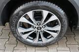 Ford Puma Titanium 1.0 EcoB. 360°Kamera 4,99%* AHK - Ford Puma Neuwagen