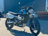 Triumph Scrambler 1200 XC TOP, WENIG KILOMETER - TRIUMPH ENDURO SCRAMBLER