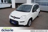 Fiat Panda Base Klima I Bluetooth I DAB I Mild-Hybrid - Fiat Panda in Stuttgart