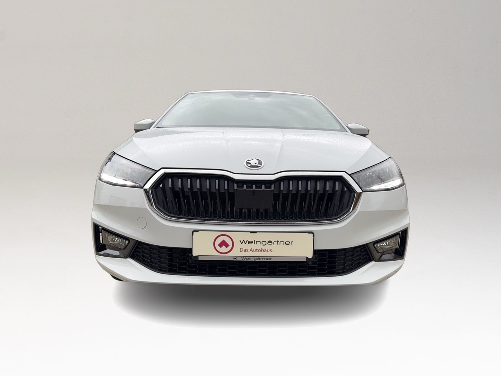 Fabia 1.0 TSI Selection, Vorbereitung AHK, LED,