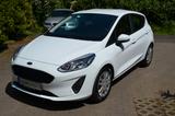Ford Fiesta 1,0 EcoBoost LED,Steuerkette - Ford mit Benzin-Antrieb: Steuer