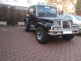 Jeep Wrangler 4.0 Sport  - Jeep aus 1991