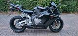 Honda CBR1000RR  - HONDA 2005 CBR 1000 RR