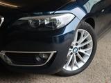 BMW 220i Luxury Line ""Leder Klima PDC 17"LM" - gebrauchte BMW Cabrios