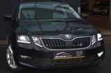Skoda Octavia Combi Drive/Kamera/Tempomat/ AHK - Skoda Octavia Drive mit Benzin-Antrieb