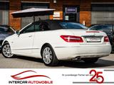 Mercedes-Benz E 220 CDI Cabrio Avantgarde|Airscarf|Leder Nappa - Mercedes-Benz E 220: Cabrio