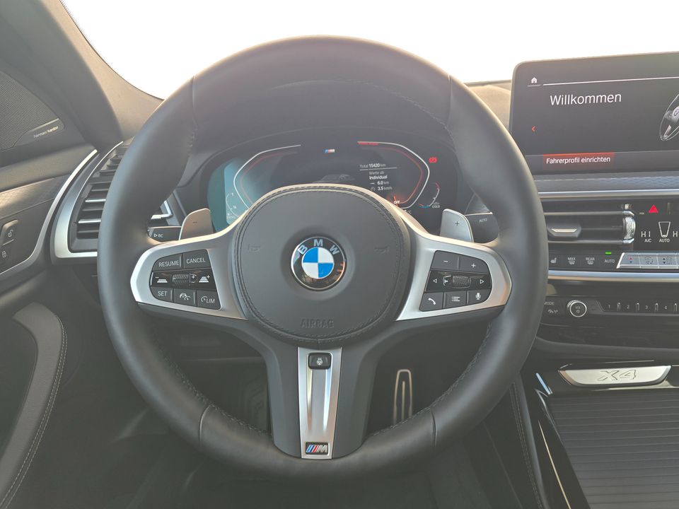 BMW X4 - Bild 17