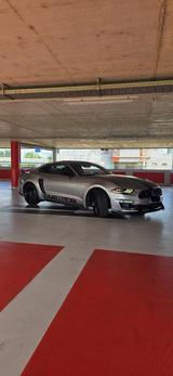 Ford Mustang 2.3 EcoBoost Auto - - gebrauchte Ford Mustang aus dem Jahr 2021