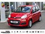 Fiat Panda MY25 Hybrid 1.0 GSE CITY-PAKET TEMPOMAT PD