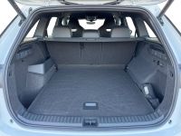 Skoda Kodiaq - Vorschau Bild 7