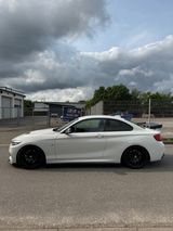 BMW M240i Navi Prof. | M-Perf.ESD |Carbon-Heckflügel - BMW: E24