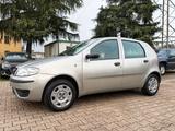 Fiat Punto 1.2 5 porte OK NEOPATENTATI - Fiat Punto aus 2004