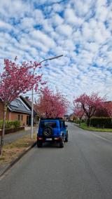 Suzuki Jimny GJ Treckfinder Horntools Snorkel  - Suzuki Jimny GJ