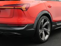 Audi e-tron - Vorschau Bild 20