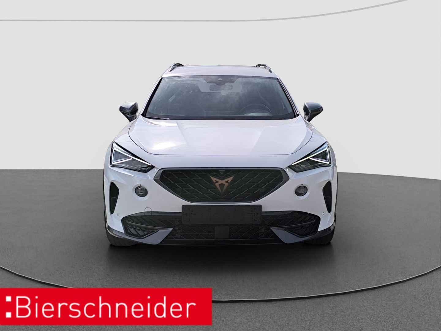 Cupra Formentor 1.4 e-Hybrid DSG NAVI PARK-ASSIST RFK imagem 2