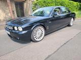 Jaguar XJ 4.2V8 Langversion Arden20Zoll XJ... - Jaguar XJR: 8