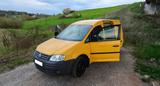 Volkswagen Caddy 2.0 SDI Diesel mit LKW-Zu... - Volkswagen Caddy: Sdi