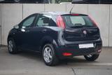 Fiat Punto 1.2 8V Klima PDC Tagfahrlicht - Fiat Punto: 5 Türen