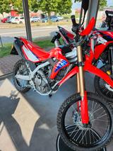 Honda CRF 300 L 2025 Kurzzulassung - HONDA CRF 300 L