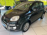 Fiat Panda 1.0 GSE Hybrid - Fiat Panda in Hagen