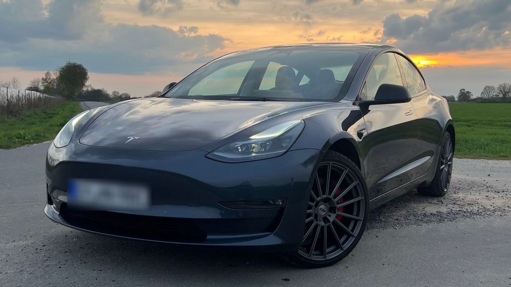 Image of Other Other