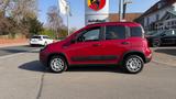 Fiat Panda Red - Fiat Panda Vorführfahrzeuge