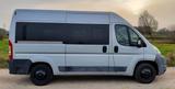 Fiat Ducato 250, L2H2, 2,3l Diesel, Panora... - Fiat Ducato: 250l