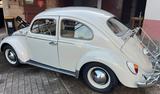 Volkswagen Käfer 1200 | Baujahr 1964 | Note 2 |  - Volkswagen Käfer: Kleinwagen