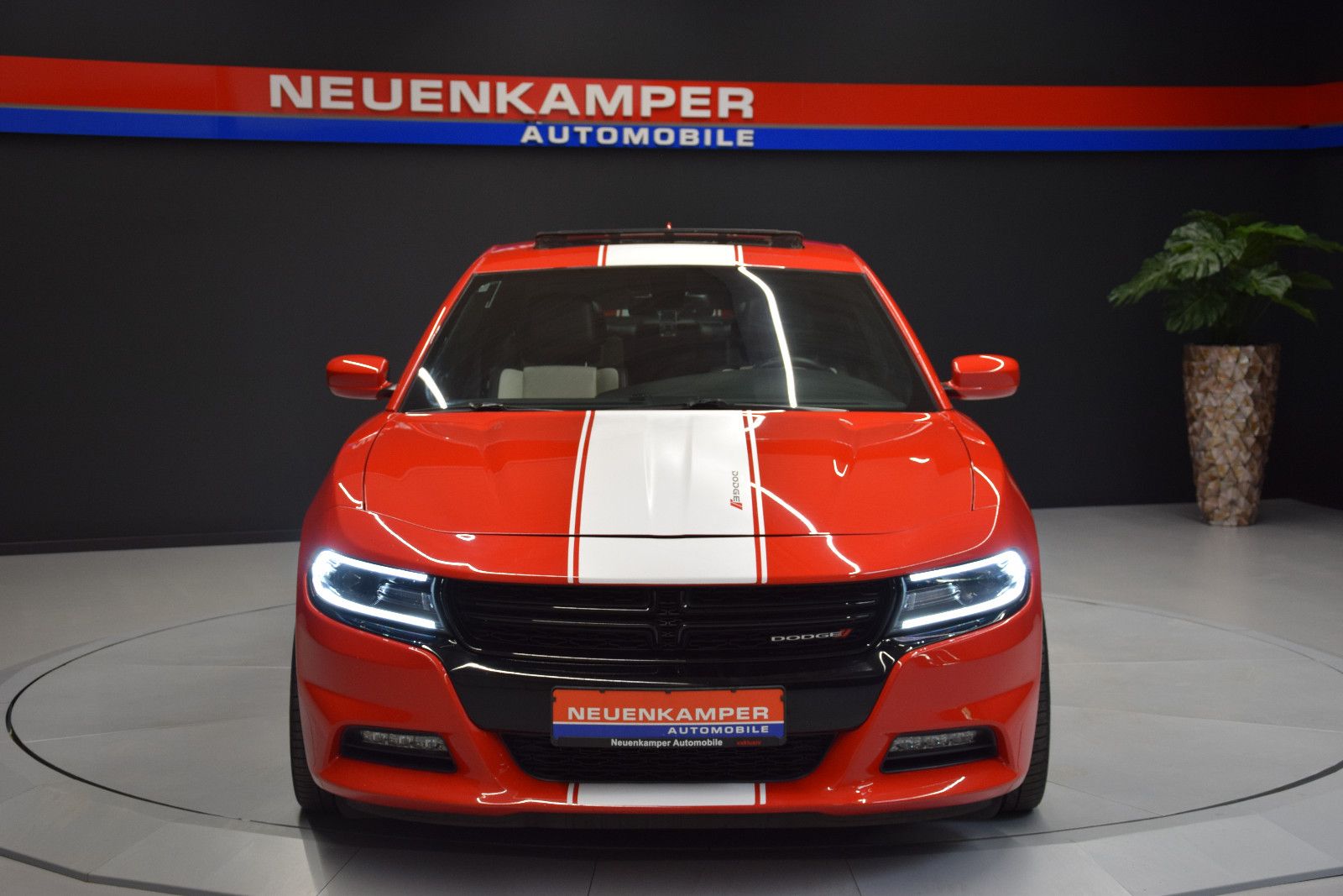Fahrzeugabbildung Dodge Charger Schiebedach Sitzl Bi-Colo Alpine LED NAV