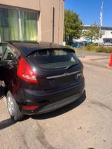 Ford Fiesta 1,25 60kW Titanium Titanium - Ford Fiesta aus 2010: Titanium