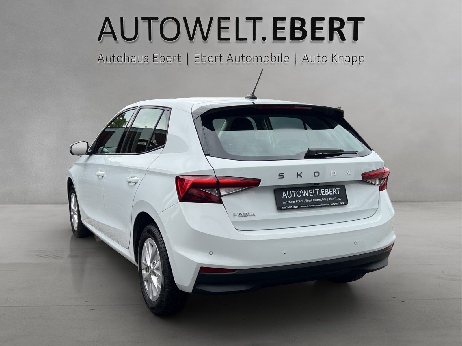 Fahrzeugabbildung SKODA Fabia 1.0 TSI Selection DSG/KAMERA/ACC/SHZ/