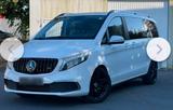 Mercedes-Benz V-Klasse 300d ,AMG Line,Familienfahrzeug, ... - Mercedes-Benz E 300 mit Diesel-Antrieb: Van, Automatik